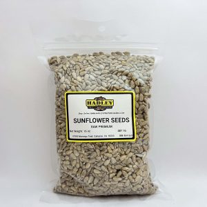 Sunflower Seeds Raw No Shell 16oz